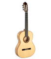 Guitarra Flamenco Paco Castillo 215F