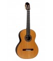 Guitarra Clásica Amalio Burguet 1A