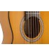 Guitalele Flamenco Flamenkele by Admira (Pack)