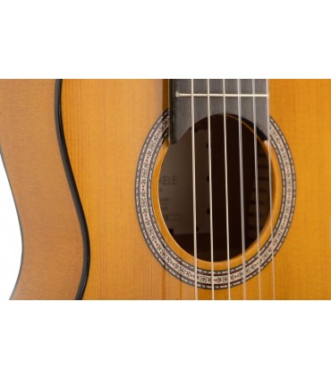Guitalele Flamenco Flamenkele by Admira (Pack)