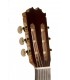 Guitarra Flamenco Cutaway Antonio de Toledo ATF-17BECUT (Fishman Presys Blend)