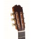 Guitarra Flamenco Cutaway Antonio de Toledo ATF-17NECUT (Fishman Presys Blend)