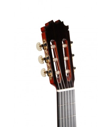 GUITARRA FLAMENCO ANTONIO DE TOLEDO ATF-17NR PALOSANTO