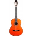 GUITARRA FLAMENCO ANTONIO DE TOLEDO ATF-17NR PALOSANTO