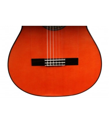 GUITARRA FLAMENCO ANTONIO DE TOLEDO ATF-17NR PALOSANTO