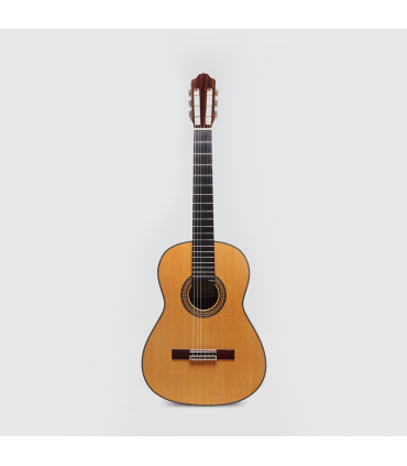 Guitarra Clásica Esteve Alegría CD Cedro