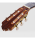 Guitarra Clásica Esteve Alegría SP Pino