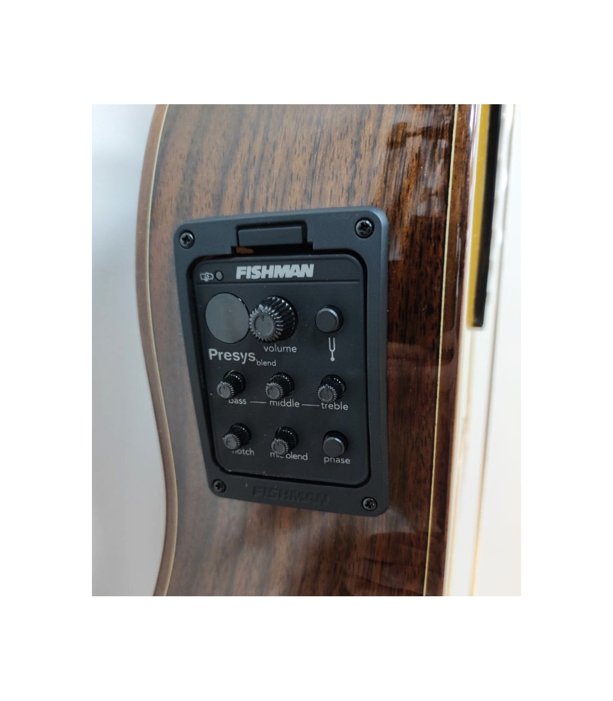 Guitarra Flamenco Electrificada ANTONIO DE TOLEDO ATF-17 NE EQ Fishman Palosanto