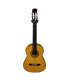 Guitarra Flamenco Electrificada ANTONIO DE TOLEDO ATF-17 NE EQ Fishman Palosanto