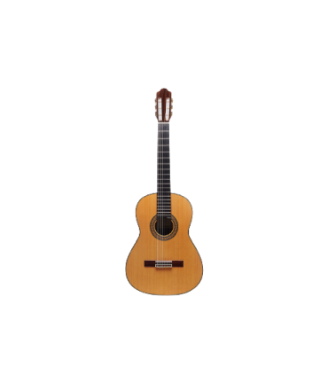 Guitarra Clásica Esteve Alegría SP Pino