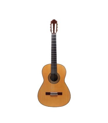 Guitarra Clásica Esteve Alegría CD Cedro