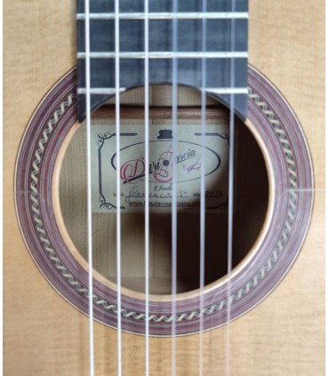 Guitarra Flamenco Darío García "Flamenco 1ª"