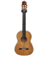 Guitarra Flamenco Darío García "Flamenco 1ª"