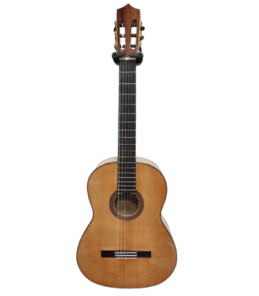 Guitarra Flamenco Darío García "Flamenco 1ª"
