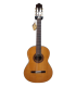 Guitarra Clásica Paco Castillo 203 Cedro