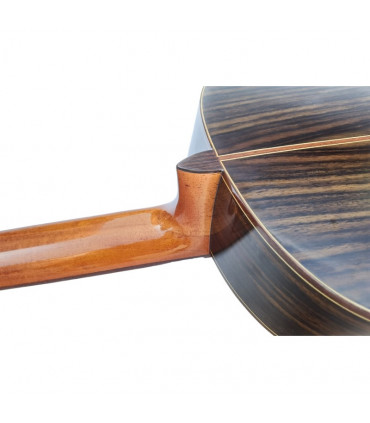 Guitarra Flamenca Vicente Tatay C320.593N en Palosanto