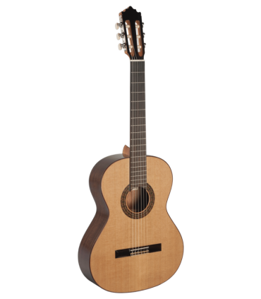 Guitarra Clásica Paco Castillo 202