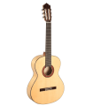 Guitarra Flamenco Paco Castillo 213F